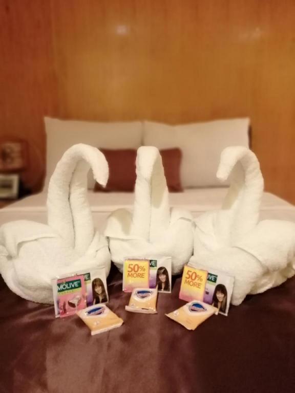 Hotel Asuncion Laoag Extérieur photo